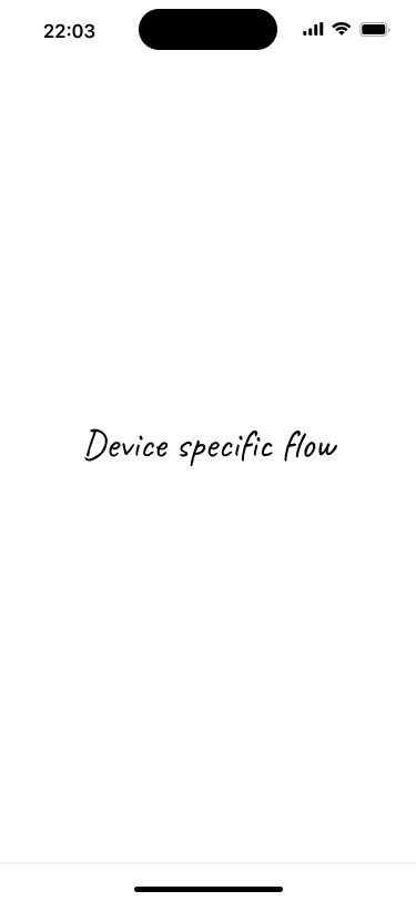 Placeholder screen representing the device-specific wallet activation flow.